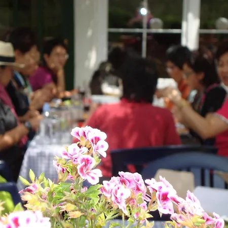 Vulinka Pension בית הארחה