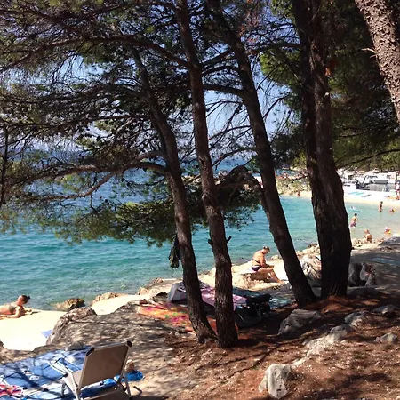 Vulinka Pension 3* דראגה