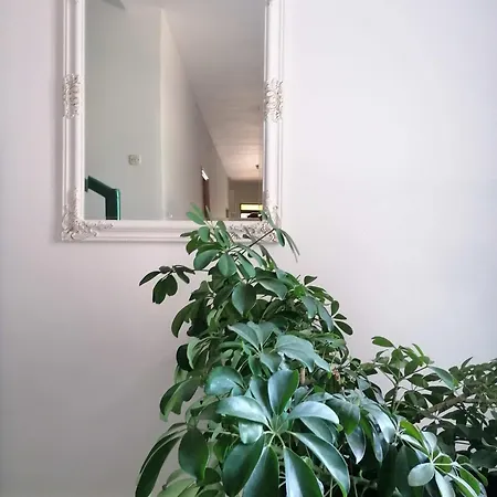 Vulinka Pension Drage
